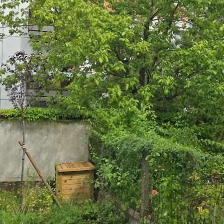 ホームステイ D'hotes Avec Petit Dejeuner クレルモン・フェラン