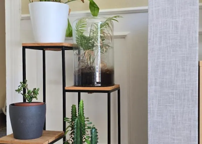 Séjour chez l'habitant D'hôtes Avec Petit Déjeuner